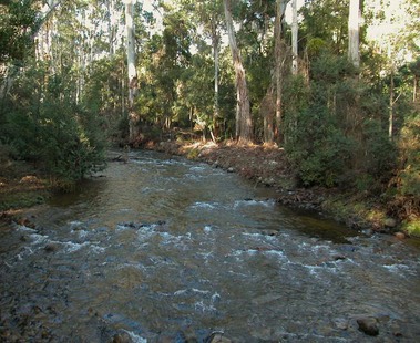 Little River-2